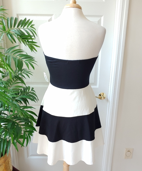 (SOLD) MOD Striped Tube Fit & Flare Mini Dress - Picture 5 of 9